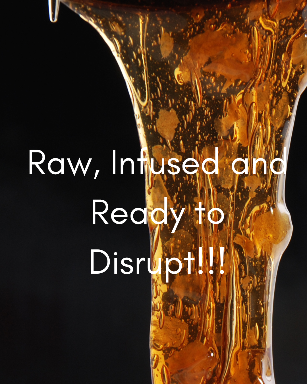 Introducing HoneyMonk: Where Ancient Wisdom Meets Modern Wellness